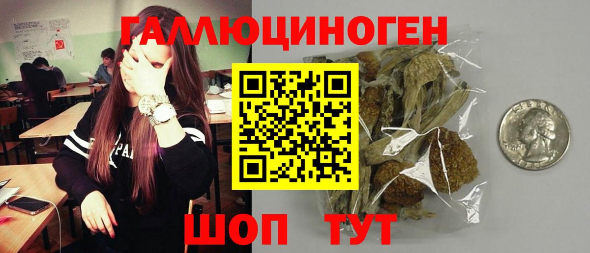 Псилоцибиновые грибы мицелий  Галлюциногенные грибы мицелий  Вход с VPN  Великий Устюг 
