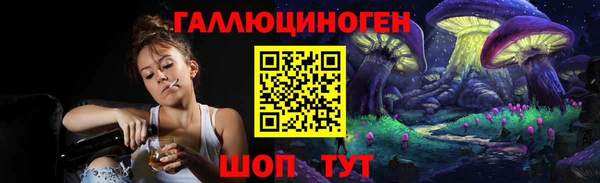 Псилоцибиновые грибы прущие грибы Великий Устюг
